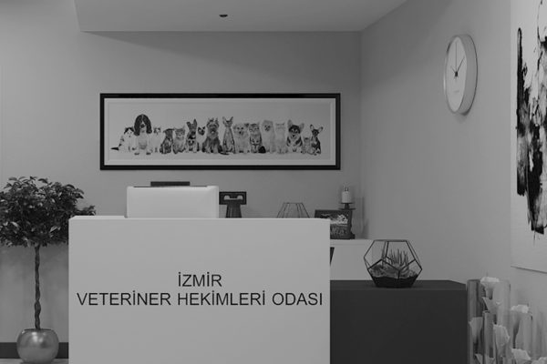 İzmir Veteriner Hekimleri Odası Ofis Tasarım Projesi Görseli